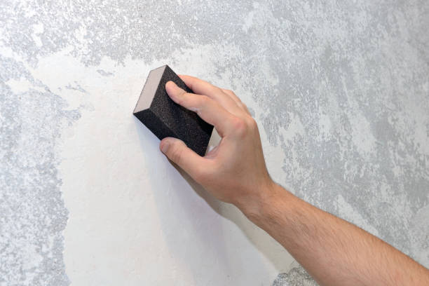 Best Mold Odor Removal Services  in El Cerro Mission, NM