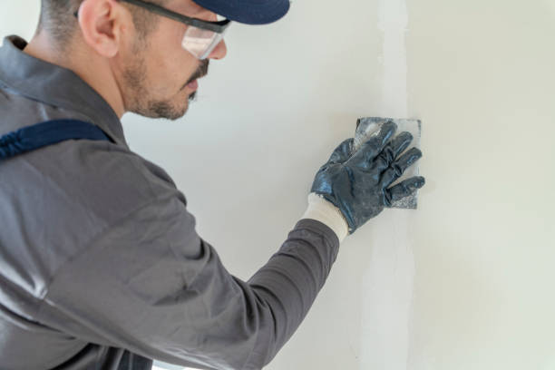 Best Mold Damage Restoration  in El Cerro Mission, NM