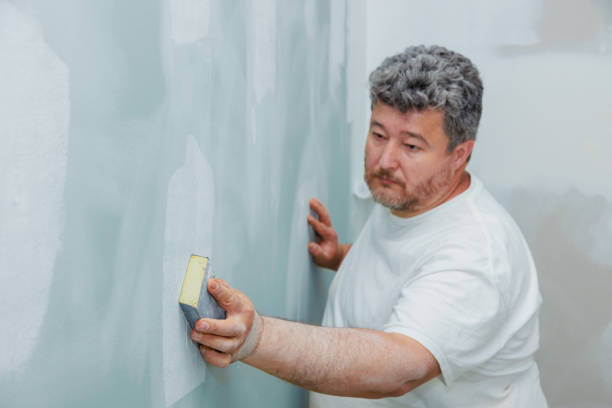 Best Commercial Mold Inspection  in El Cerro Mission, NM
